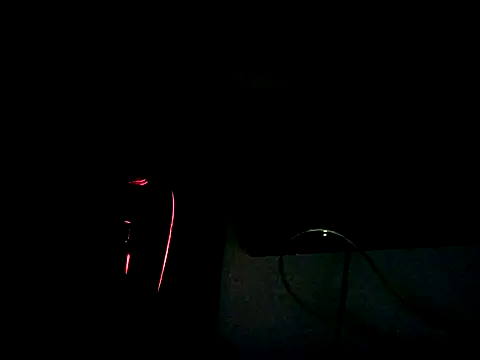 Espiroqueto Webcamshow