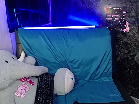 Shadai_Rossn Webbikameraesitys