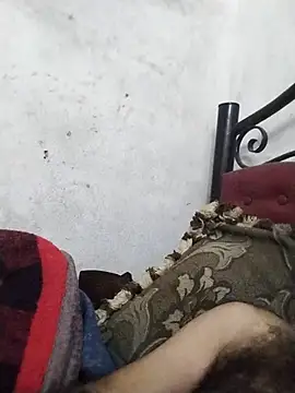 salimbasha – Naživo XXX chat