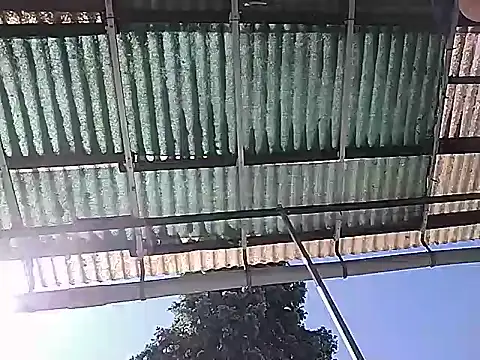 Show de webcam de Zeigegeilehure