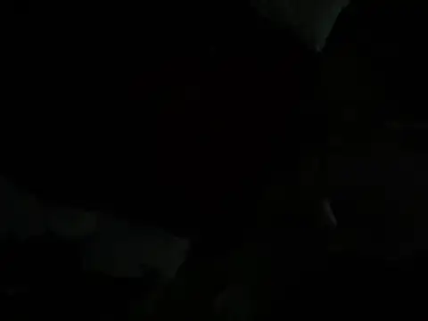 Upallnightnakedlouisiana: διαδικτυακό σόου στην κάμερα