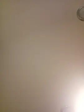 Show webcam de piggylatino