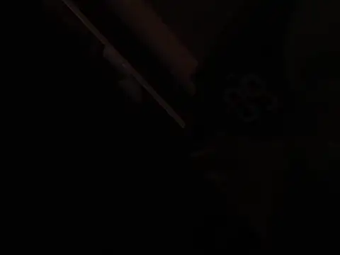 Show webcam de abeardguyone