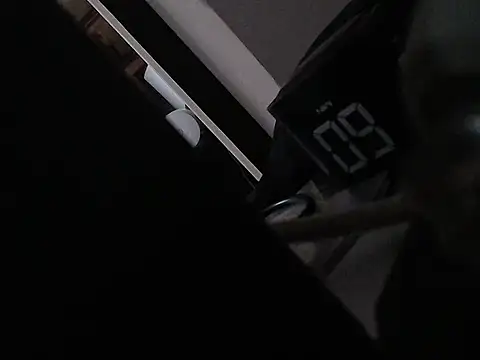 Show de abeardguyone na webcam