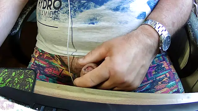 Show webcam de passatwind