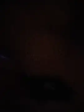 ySqmbVanbe Pertunjukan Webcam