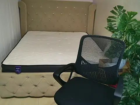Show webcam de ts_ayah_