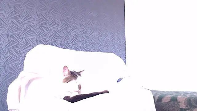 Freyja_eter Chat XXX in diretta