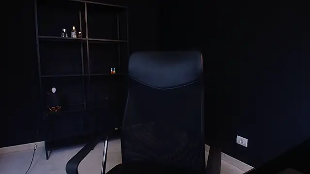 FelixStarkk 실시간 채팅방