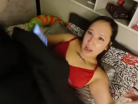 Chat XXX en directo de Japabaixinha