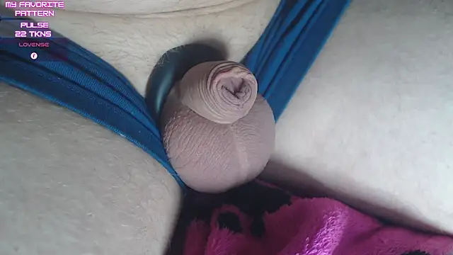 Show webcam de kevintyler69