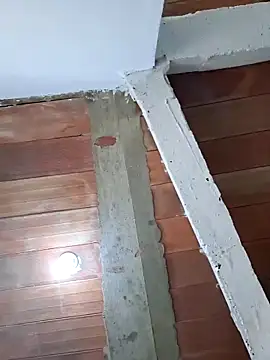 Cataleya_ja 现场XXX聊天