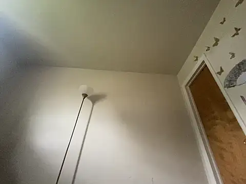 LeBimbo Live XXX-Chat
