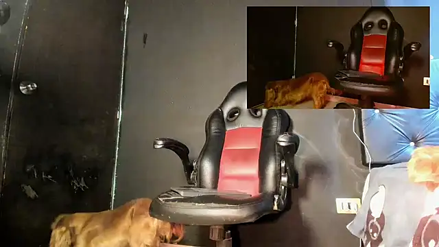 FuckHardlove Live XXX Chat