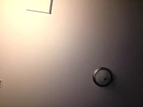piggylatino webkamerás műsora