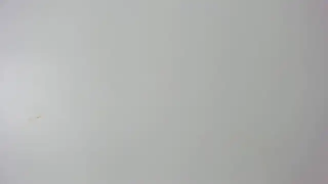Chat +18 de alannaht ao vivo