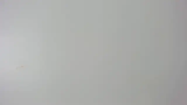 alannaht's Live XXX Chat