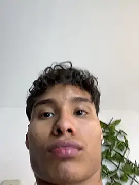 NelModel1n Webbikameraesitys