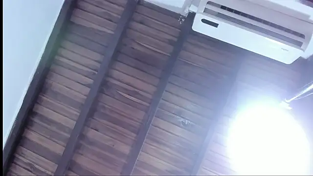 Show webcam de DilanAndKing