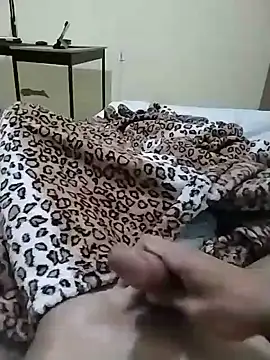 Novinhoie Obrolan Langsung XXX