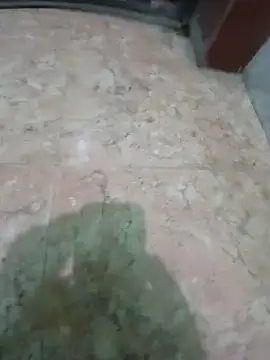 Sharmasamba Pertunjukan Webcam