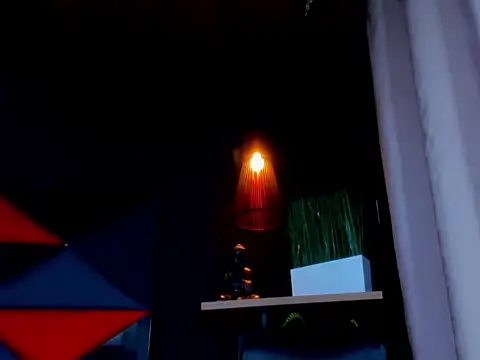 Chatroom XXX en direct de rocoo_santos