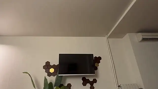 Chat +18 de _liatris_ ao vivo