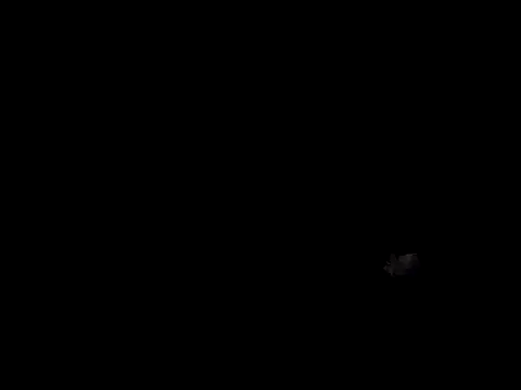 queen_beev Chat XXX live