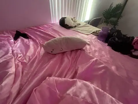 Onlypawzz Live XXX-Chat