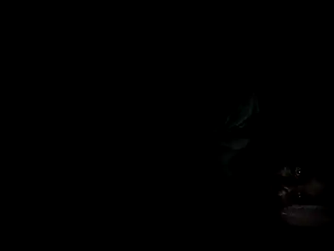 queen_beev's Live XXX Chat