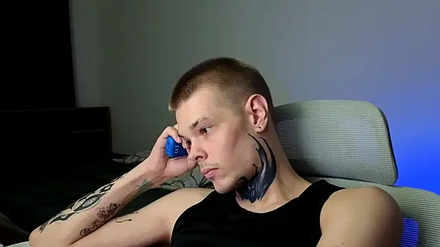 DENIS_HERE Show in webcam