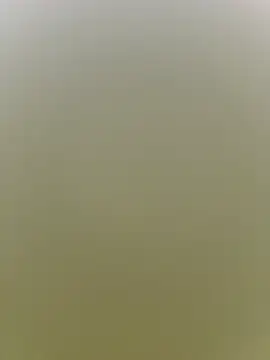 SalmanTheFucker webkamerás műsora