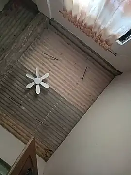 Онлайн чат XXX TropicalFlower