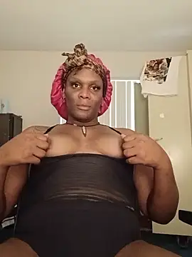 Kimmikum webcam show