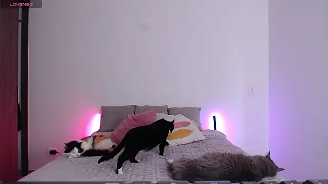 Chat +18 de sofix__ ao vivo