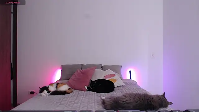 Živý XXX chat sofix__