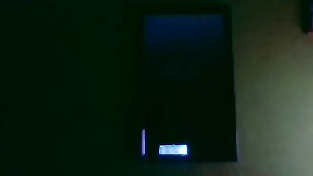 Show de webcam de Tiger202441