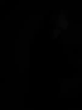 Chat XXX en directo de Flossy_Vettie