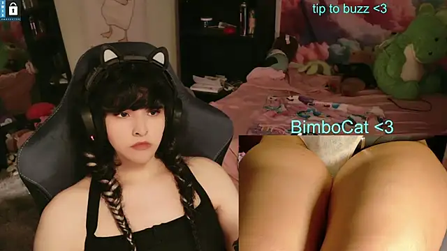 BimboCat 웹캠 쇼