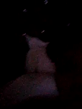 Chat XXX en directo de Sarah898