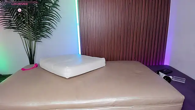 Web_starss Show Webcam