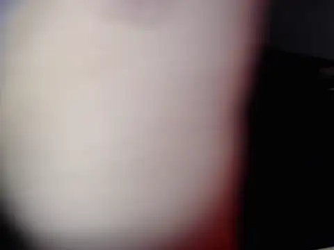 عرض كام danypalmer