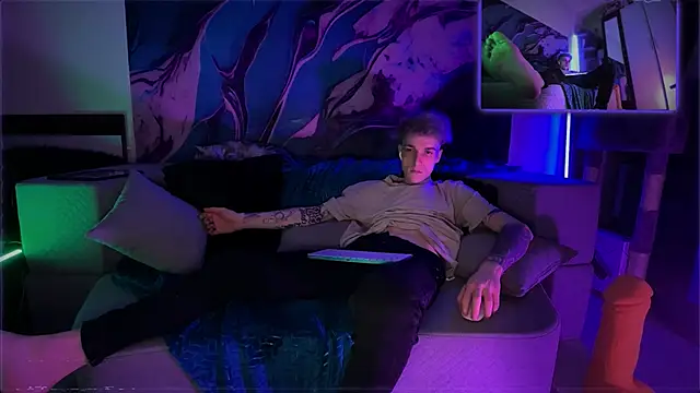 Show webcam de davesinner