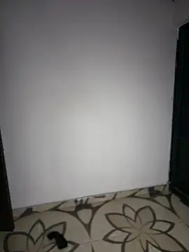 XXX chat uživo modela Simone_Miller