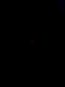 geiledouwe – webcam-show