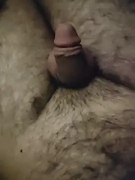 عرض كام NilsonDick