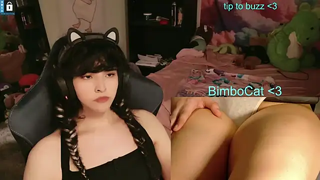 BimboCat 即時 XXX 聊天