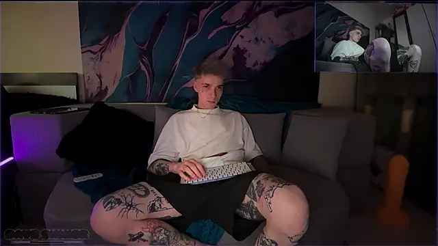 davesinnern Webbikameraesitys