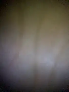 hott-boyyy's Webcam Show