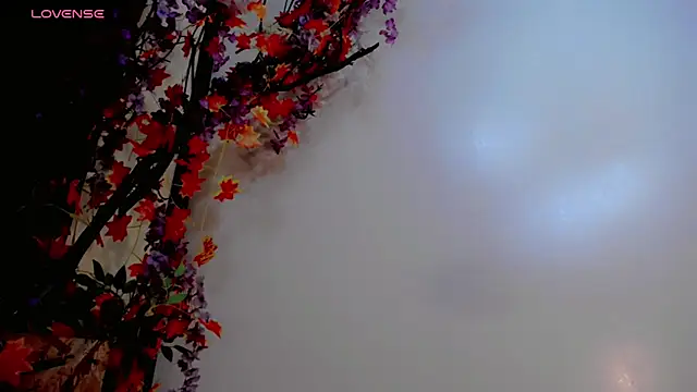 Webkamerová show britanny_noroeste